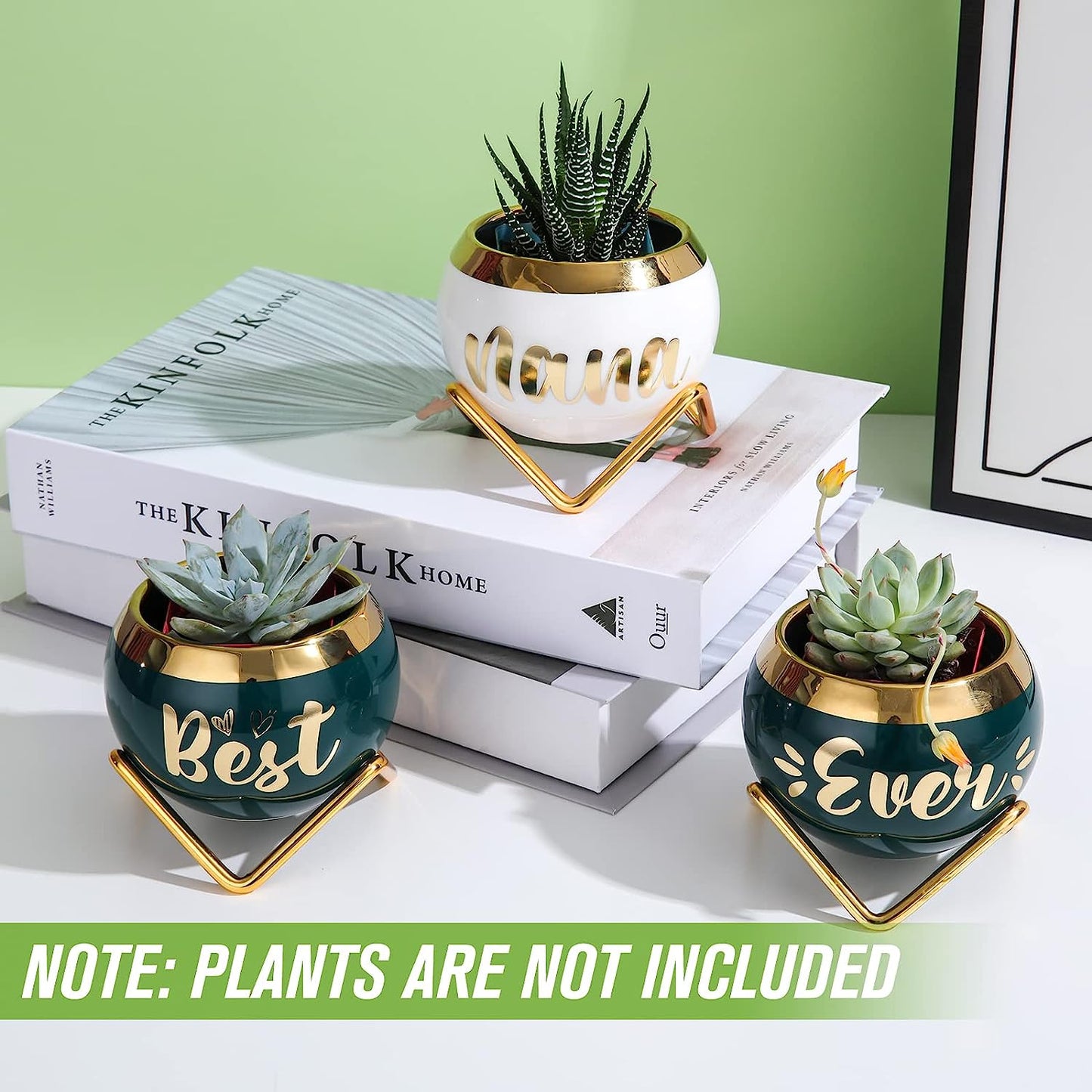 Best Nana Ever Succulent Pots - Birthday Gifts for Nana