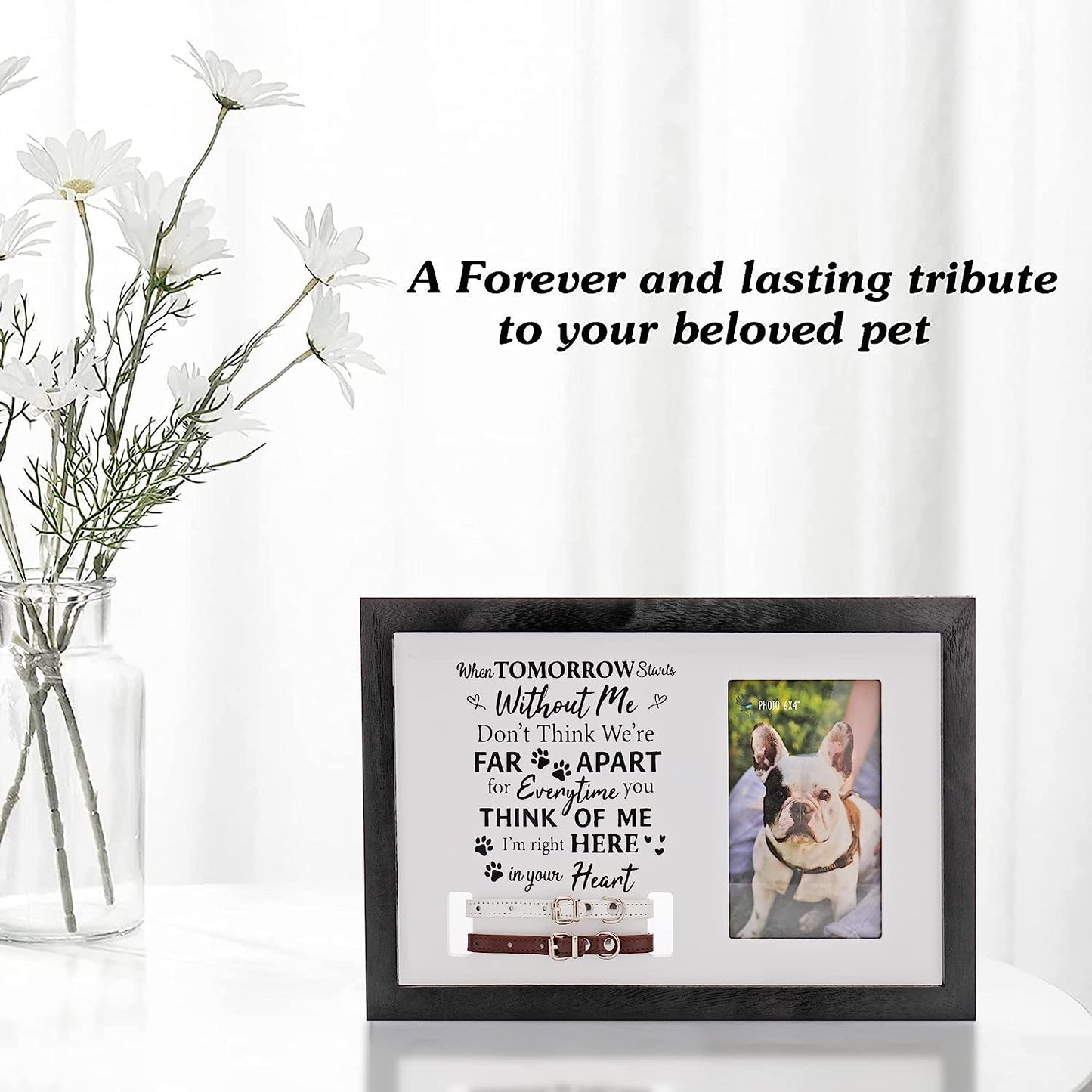 Pet Frames - Dog and Cat Memorial Gifts