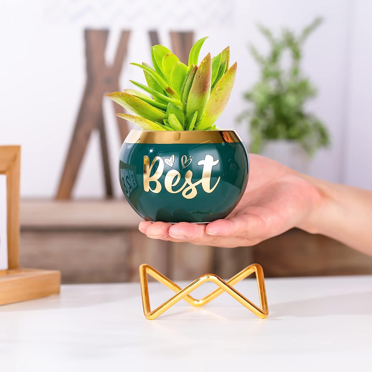 Best Nana Ever Succulent Pots - Birthday Gifts for Nana