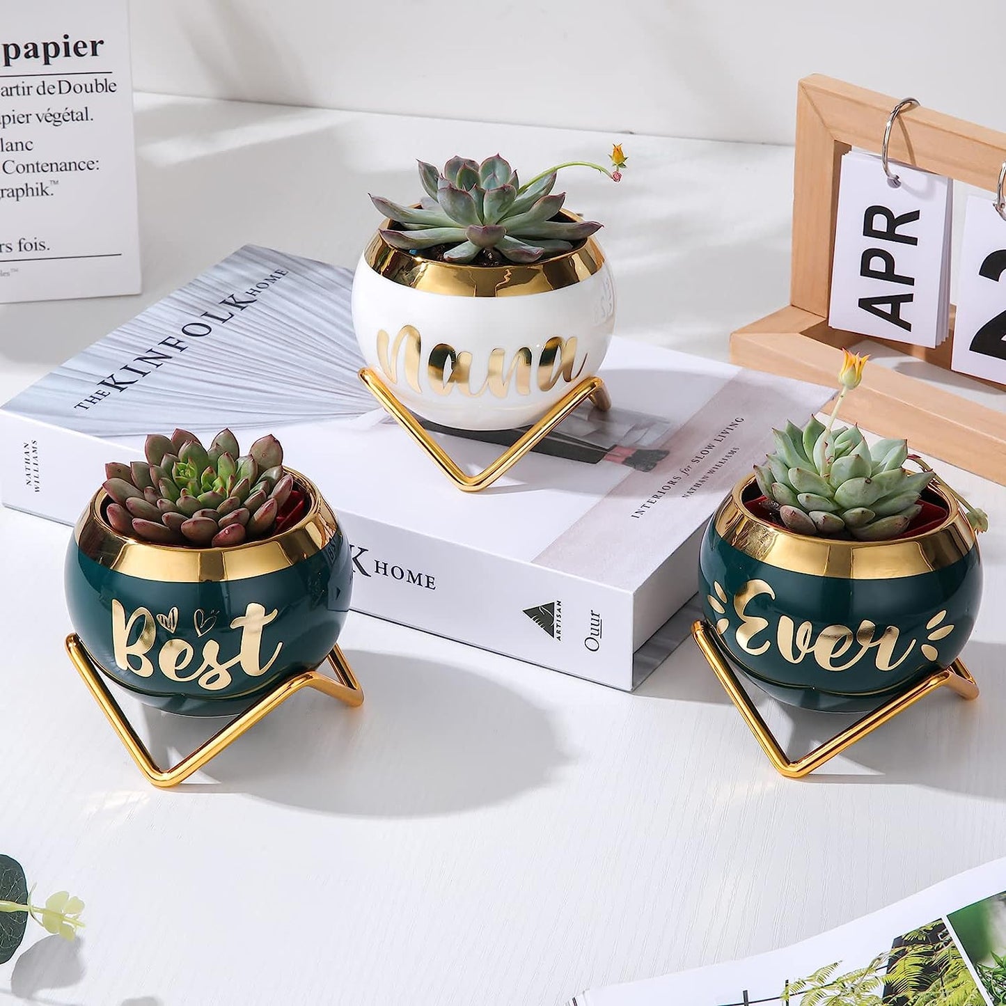 Best Nana Ever Succulent Pots - Birthday Gifts for Nana