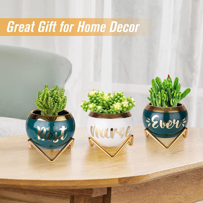 Best Nana Ever Succulent Pots - Birthday Gifts for Nana